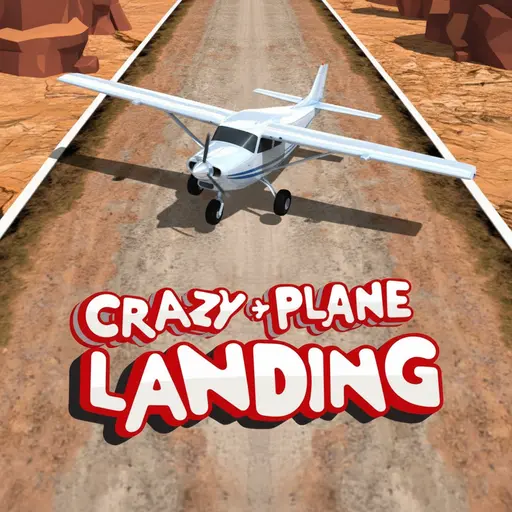 Crazy Plane Landing