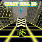 Crazy Roll 3D: Roll into Endless Fun!